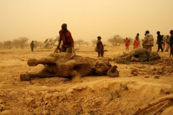 Global Warming And The Bible – Redskynews.com » Water Shortages Global Warming And The Bible – Redskynews.com » Water Shortages